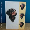 Dobermann Dog Card Simply Elegant Range